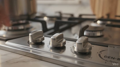 Den-B GalaxyFlame 4 Burner Stainless Steel